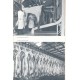 SCHMID LADISLAV: 80 LET PRAŽSKÝCH JATEK